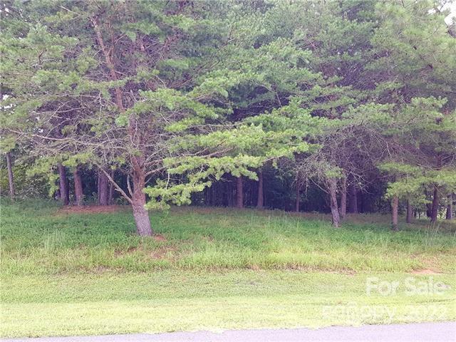 151 Pier Point Drive, Unit 9 Stony Point, NC 28678 - Photo 5 of 18 a view of a backyard