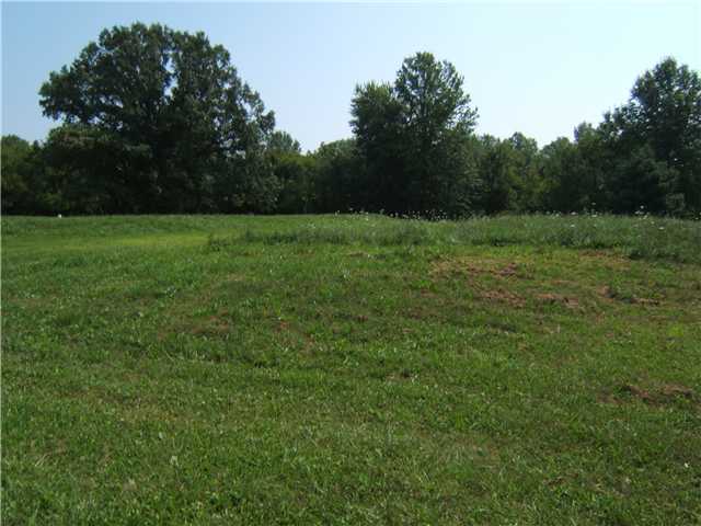 1252 Horseshoe Road Delaware, OH 43015 - Photo 2 of 8