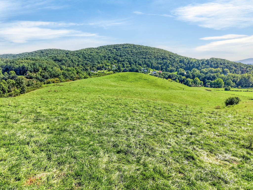 Tbd Peppers Ferry Road, Unit TRACT 4 Wytheville, VA 24382 - Photo 9 of 63 Gallery Image 9