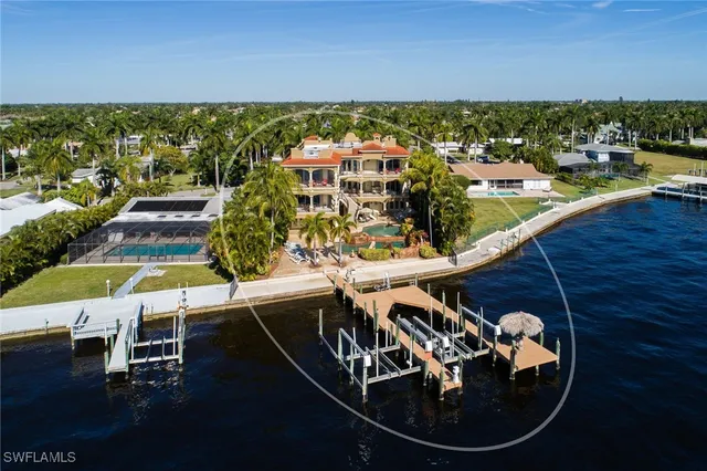 a view of a room with plants and palm trees