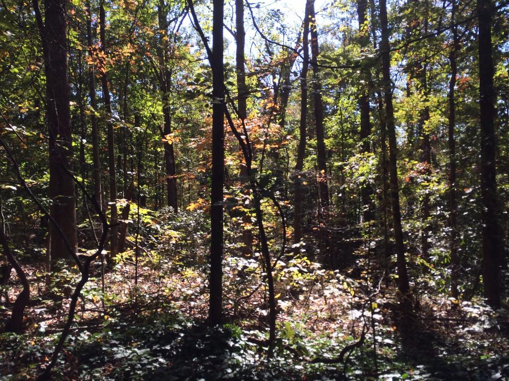 30331 Cascade Road Atlanta, GA 30336 - Photo 1 of 1