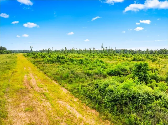 $294,000 | 0 McNary Cutoff Road, Glenmora, LA 71433