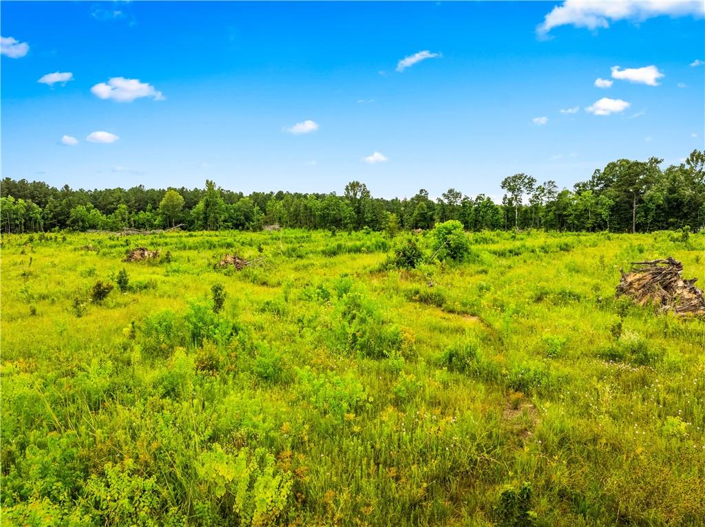 0 McNary Cutoff Road Glenmora, LA 71433 - Photo 3 of 4
