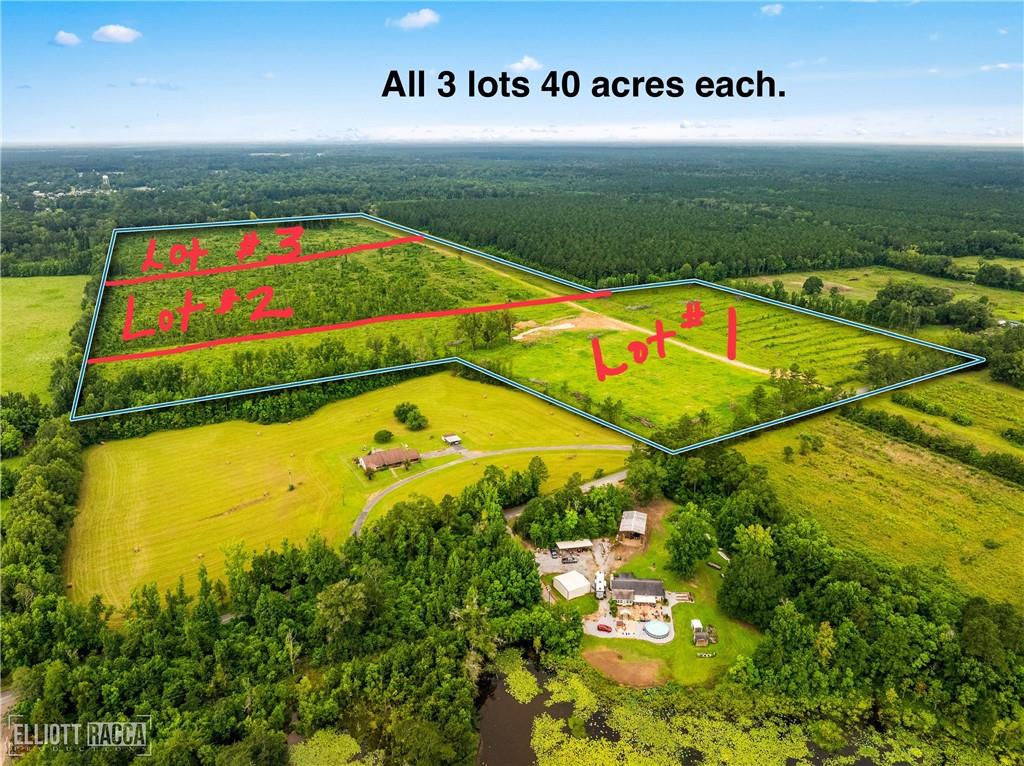 0 McNary Cutoff Road Glenmora, LA 71433 - Photo 4 of 4