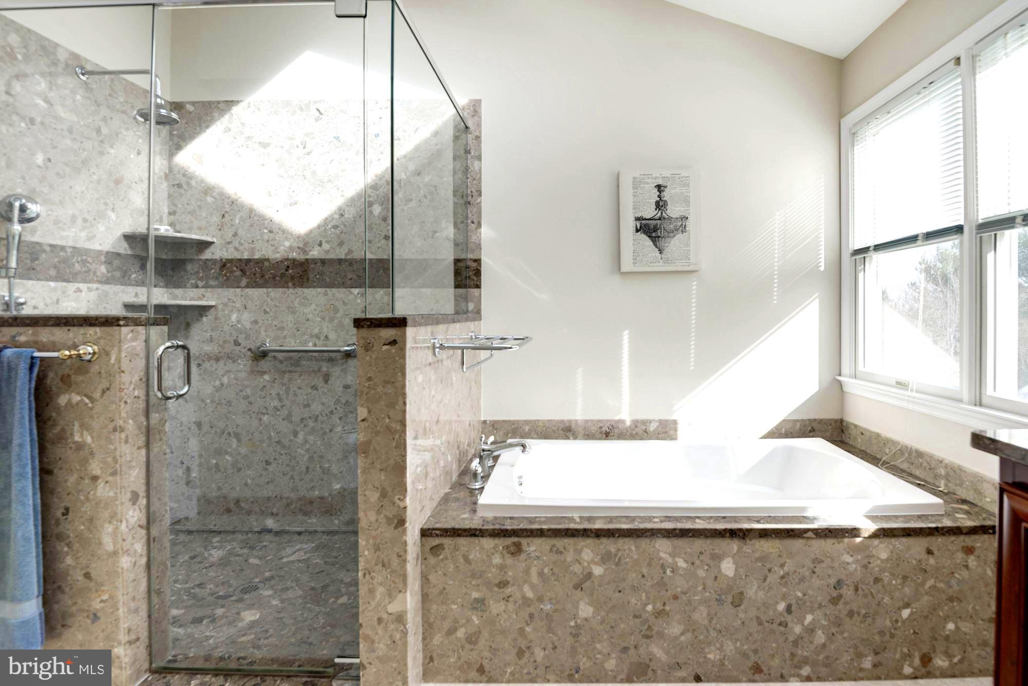 1340 Dasher Lane Reston, VA 20190 - Photo 31 of 59 Master Bathroom