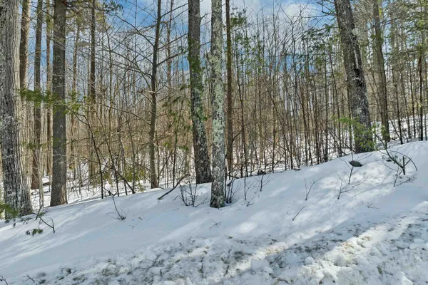 $134,900 | Lot 5 Phineas Graves Road, Center Tuftonboro, NH 03816
