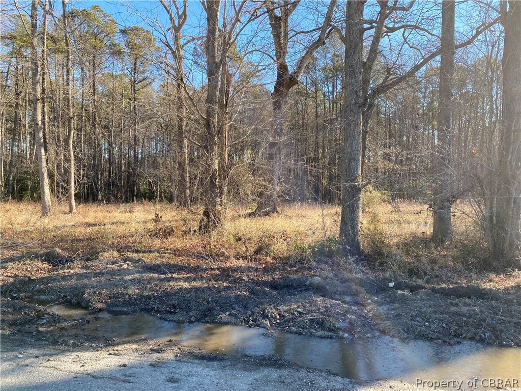 0 Mosquito Point Road White Stone, VA 22578 - Photo 2 of 13