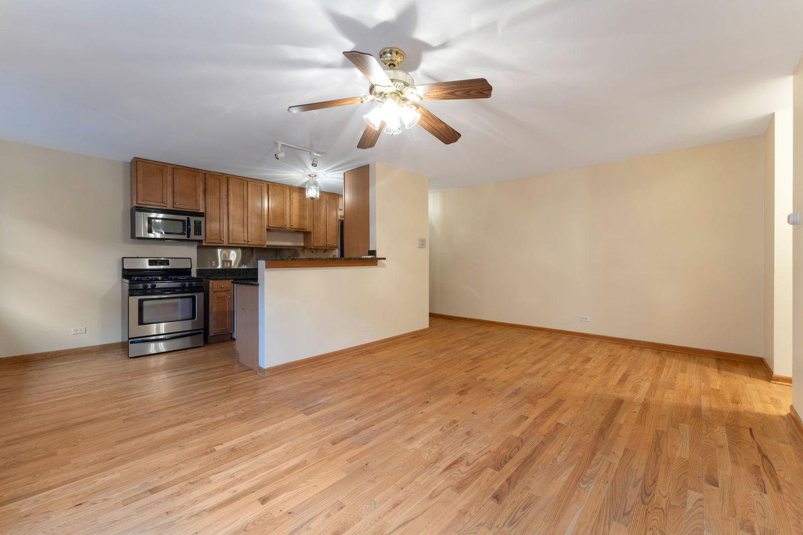 313 Elgin Avenue, Unit 201 Forest Park, IL 60130 - Photo 6 of 15