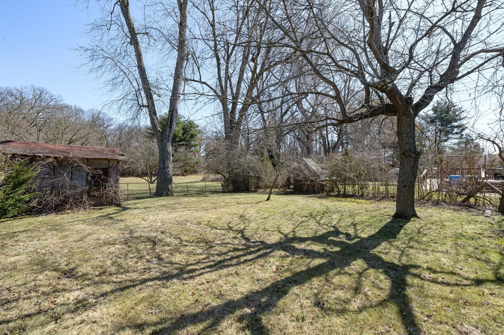 83 Mazarin Street Springfield, MA 01151 - Photo 3 of 25 a view of a yard with snow