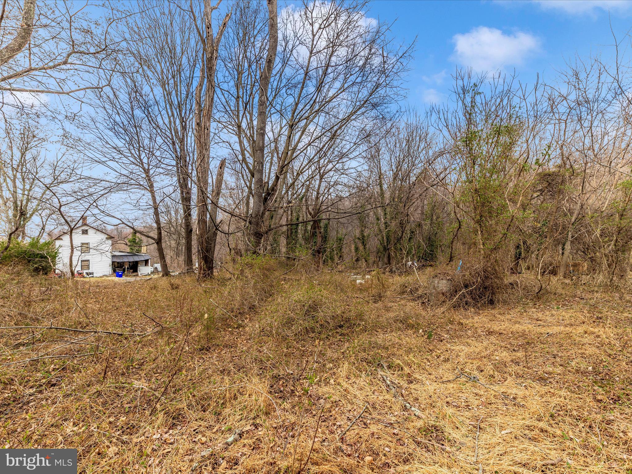 19821 Darnestown Road Beallsville, MD 20842 - Photo 39 of 44 a view of a yard with trees