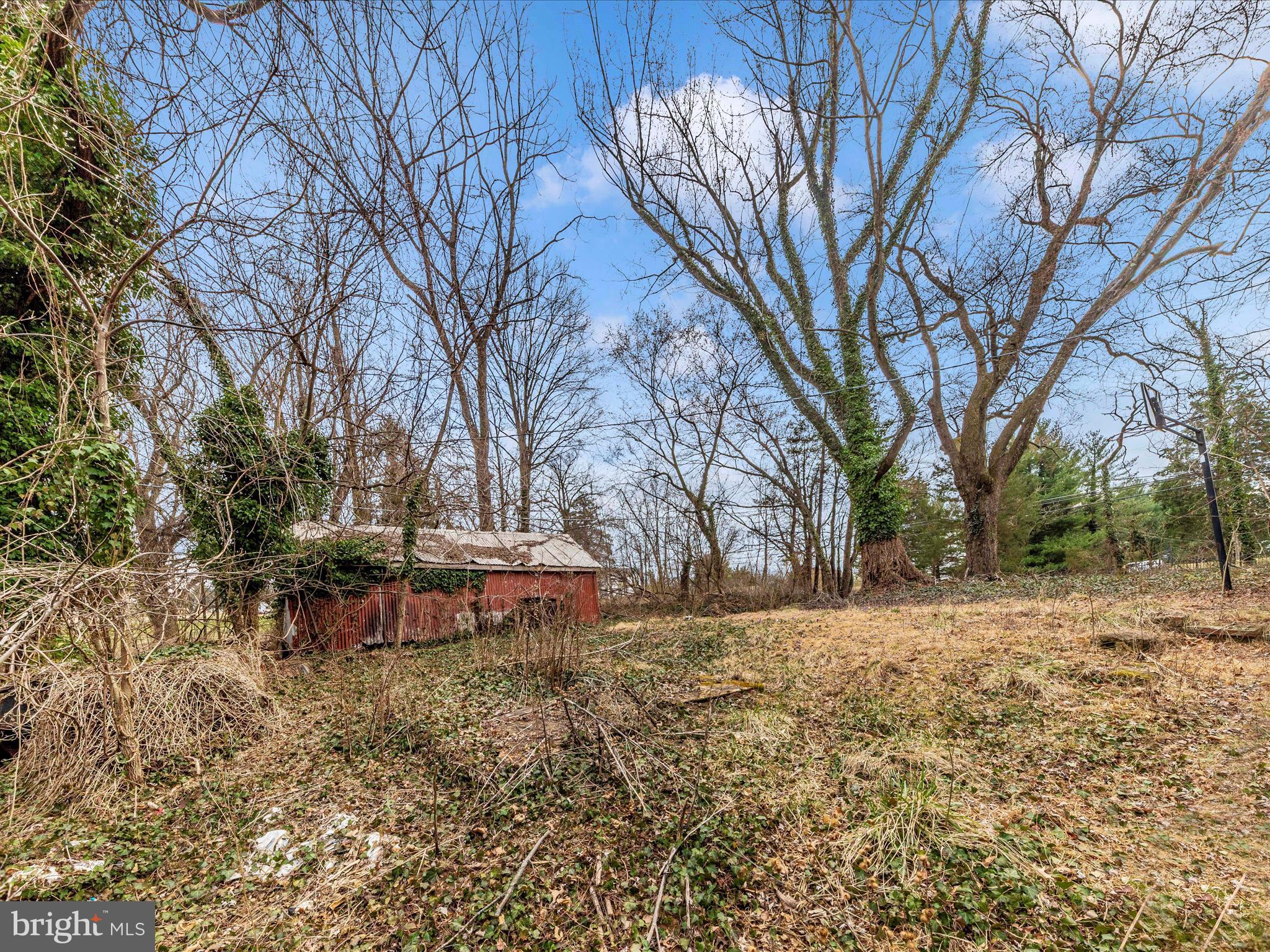 19821 Darnestown Road Beallsville, MD 20842 - Photo 41 of 44 a view of a yard with a tree
