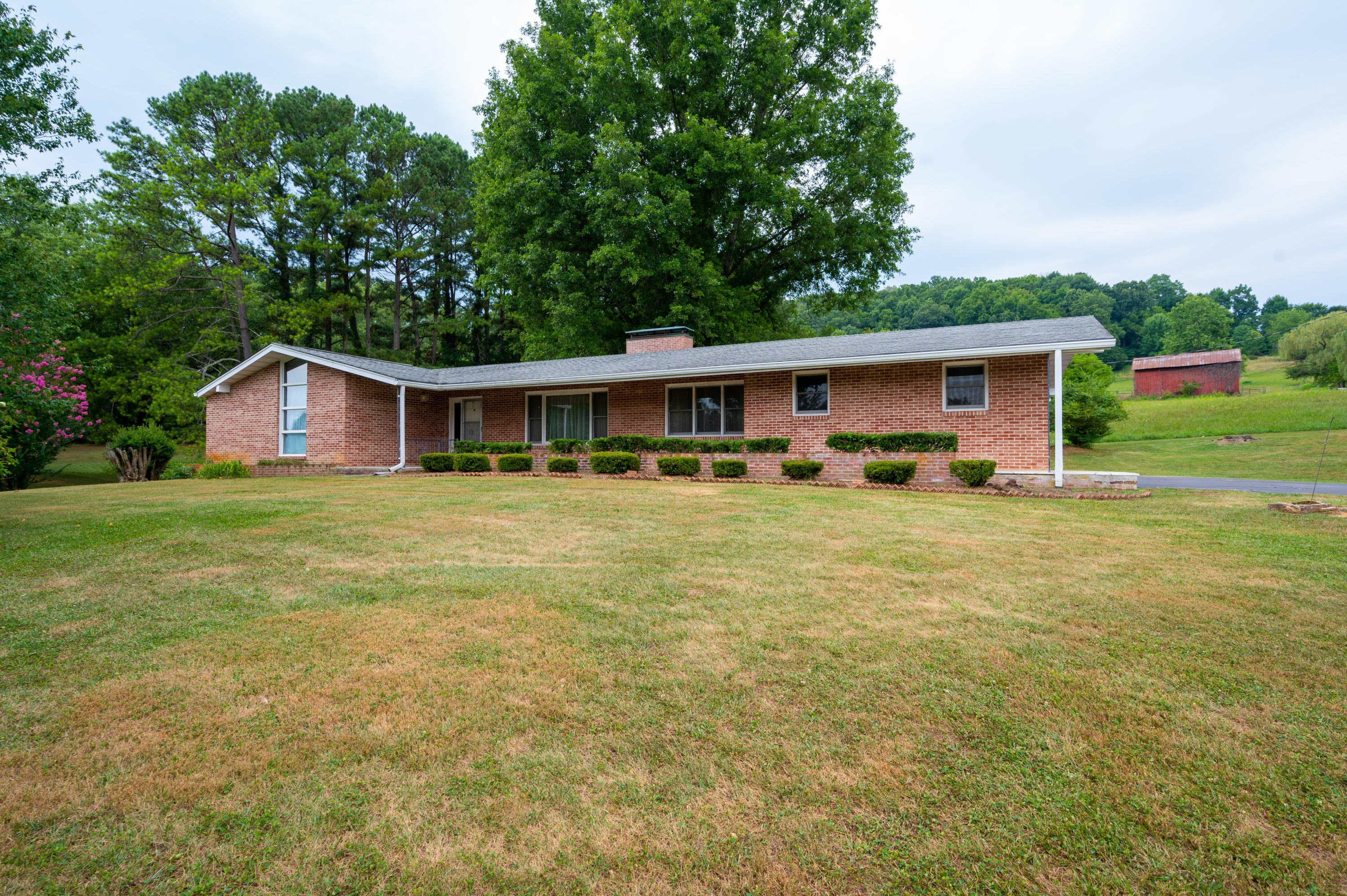 166 Ellis Road Blountville, TN 37617 - Photo 1 of 45 Ellis-40
