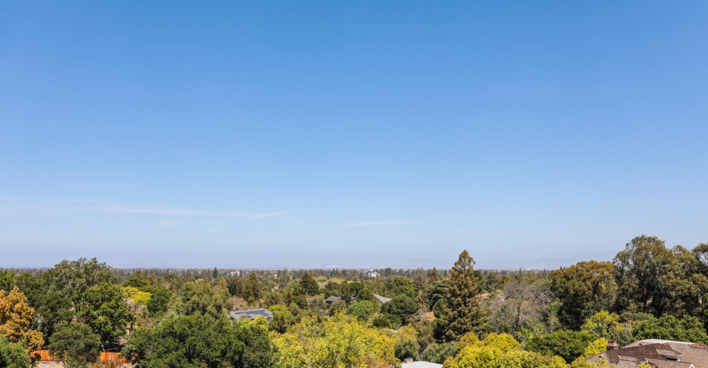 883 Robb Road Palo Alto, CA 94306 - Photo 10 of 33 a view of a large tree with a mountain in the background
