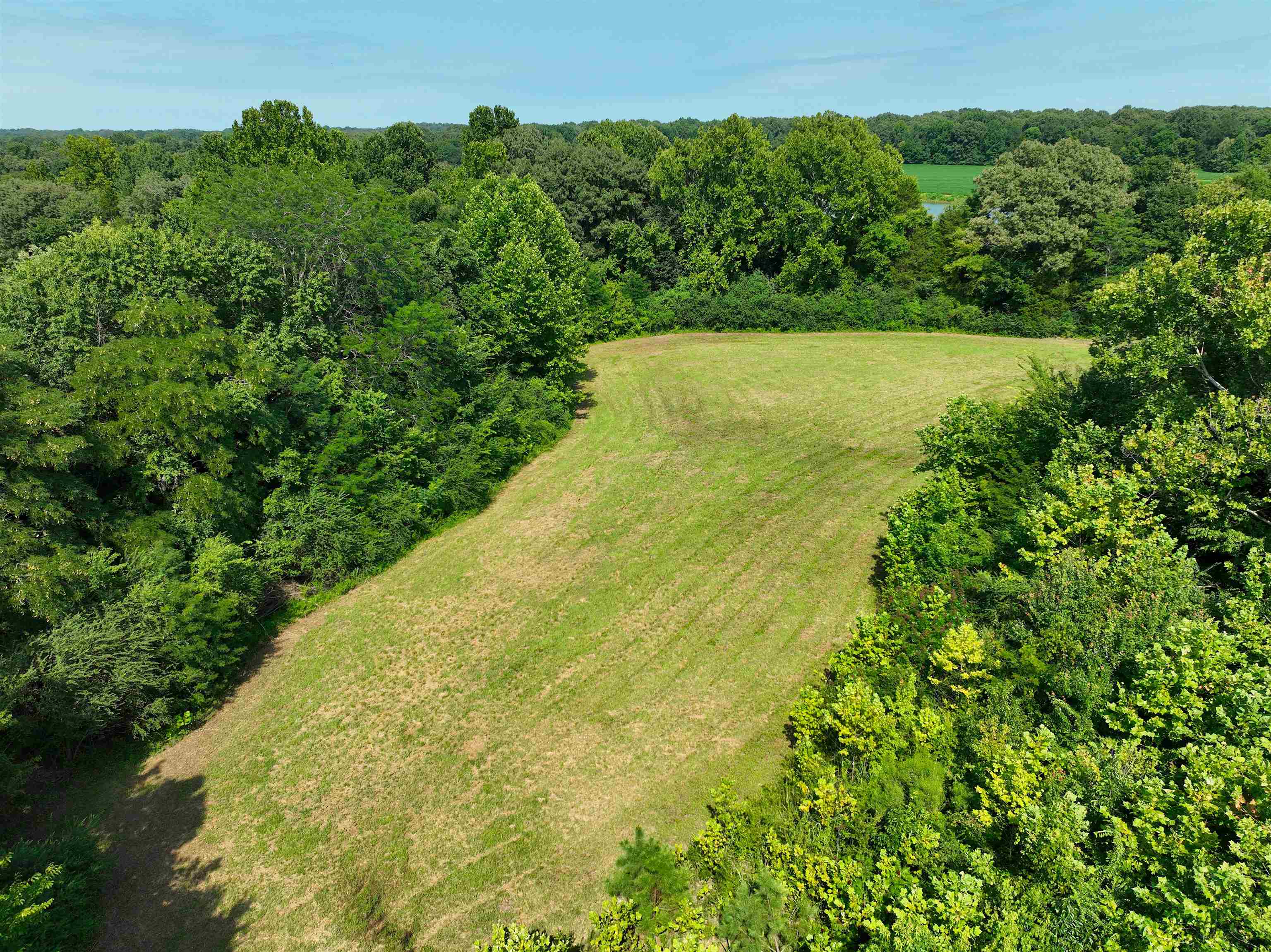 350 Richardson Road Grand Junction, TN 38039 - Photo 3 of 18 Gallery Image 3