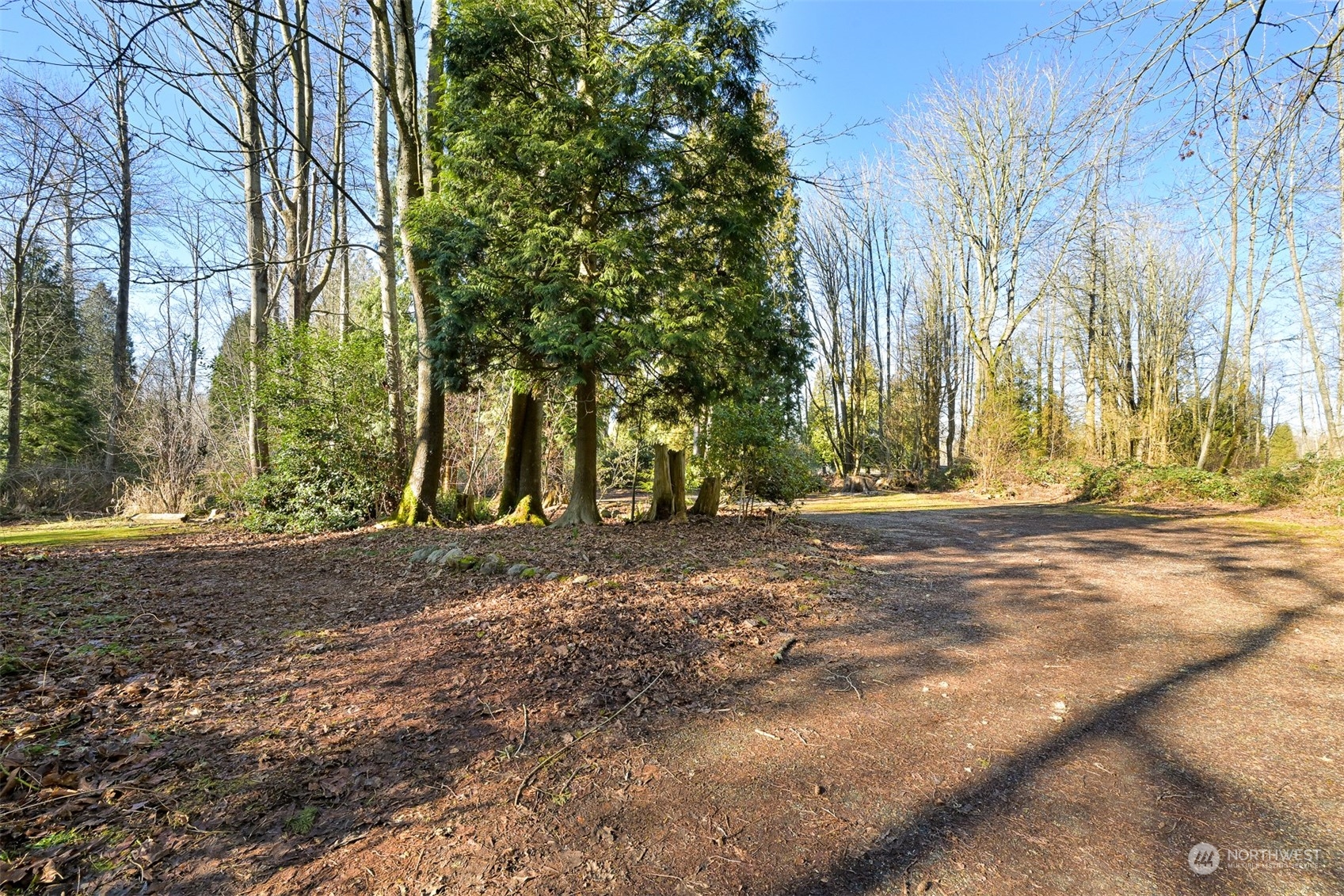 3988 Aldergrove Road Ferndale, WA 98248 - Photo 40 of 40