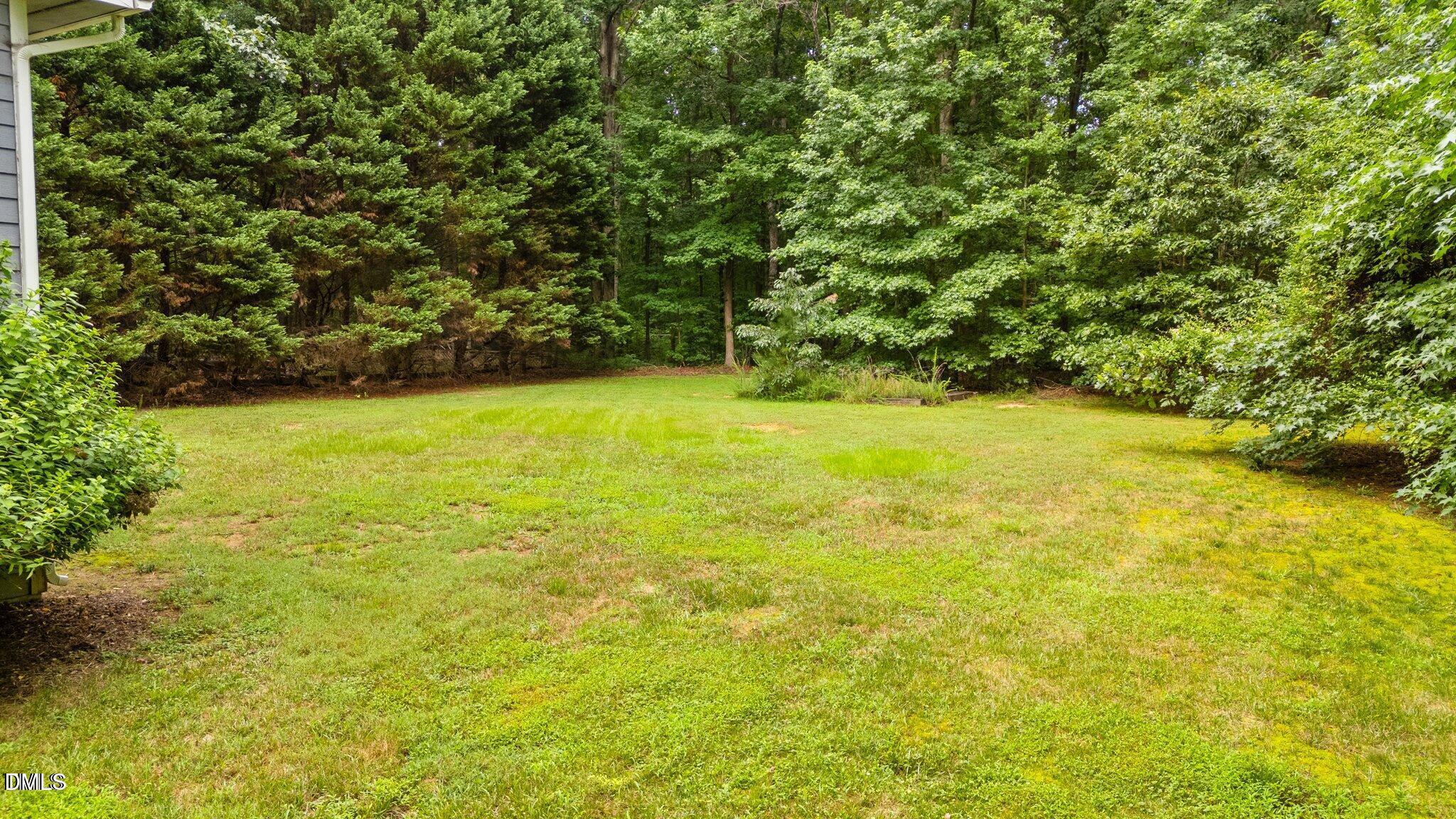 4144 Fairport Road Kittrell, NC 27544 - Photo 20 of 24 Backyrd