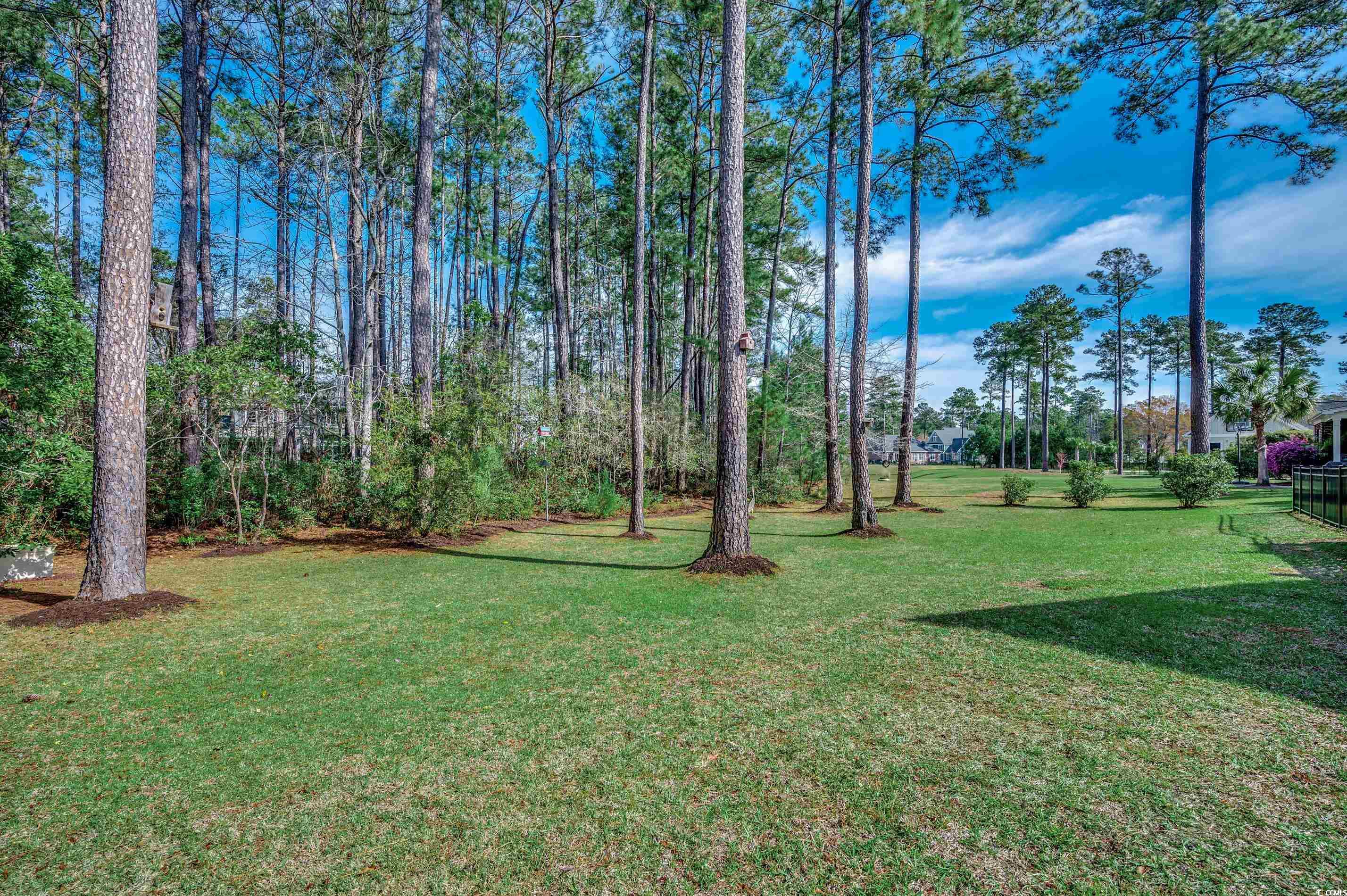 170 Sprig Lane Murrells Inlet, SC 29576 - Photo 32 of 40 Gallery Image 32
