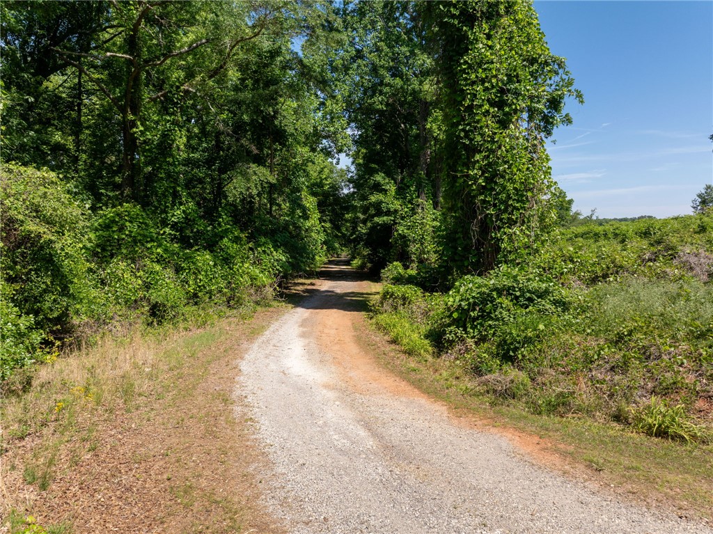 0 Ben Hurt Road Lyman, SC 29365 - Photo 11 of 21 A secluded gravel path winds through a canopy of abundant, mature foliage.