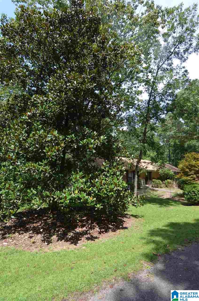 988 Fox Valley Farms Road Alabaster, AL 35114 - Photo 42 of 50 Gallery Image 42