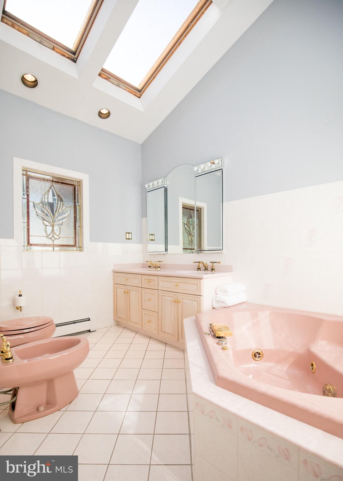 53 Pebble Ridge Road Warrington, PA 18976 - Photo 41 of 48 Bathroom with skylights, whirlpool & bidet