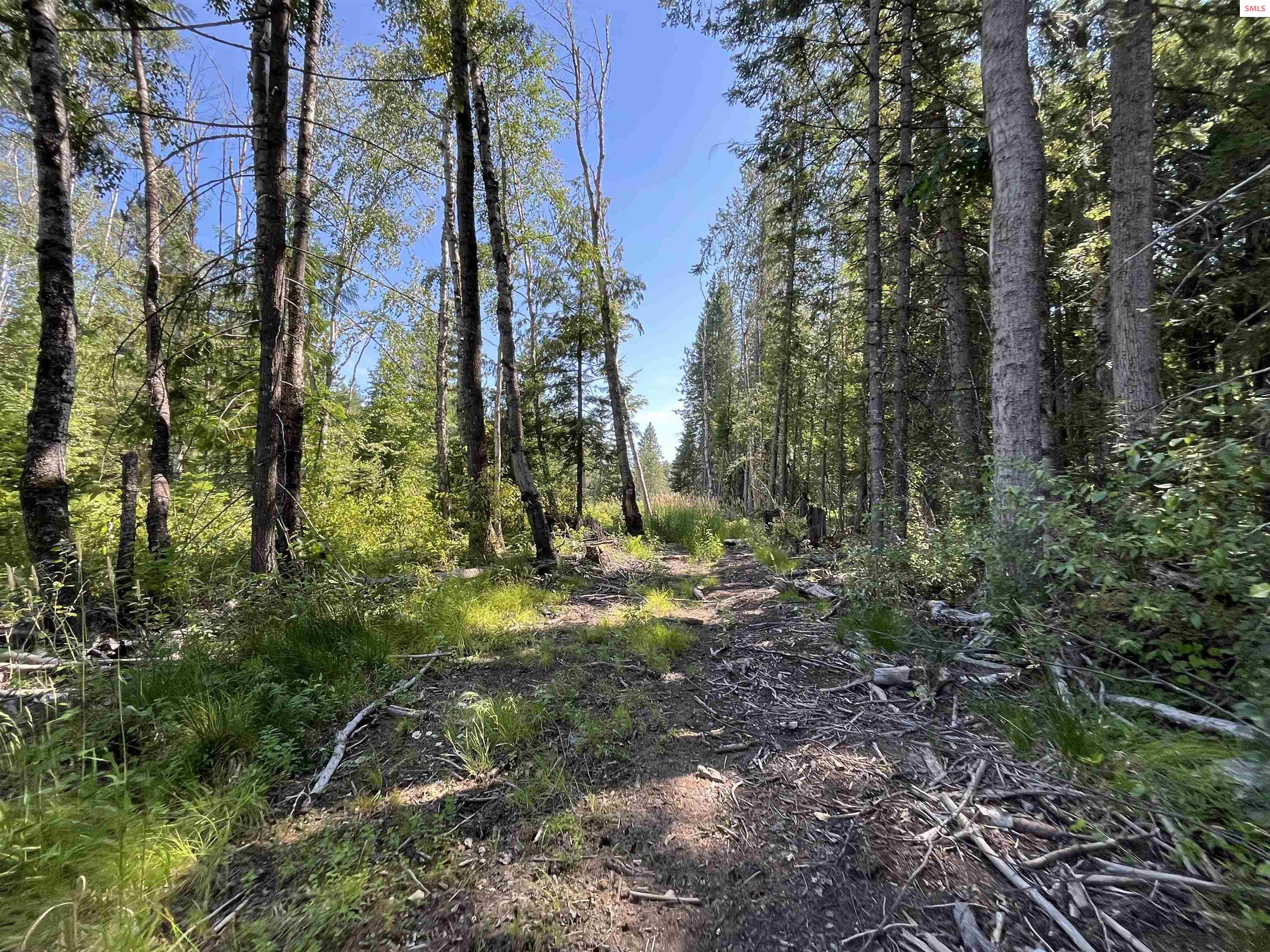 12726 North Boyer Road Sandpoint, ID 83864 - Photo 18 of 33