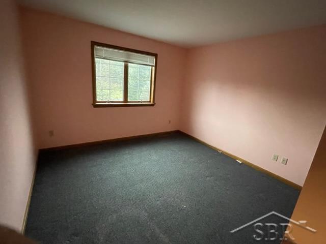 2110 Curtis Road Birch Run, MI 48415 - Photo 10 of 25 50071097-9.JPG
