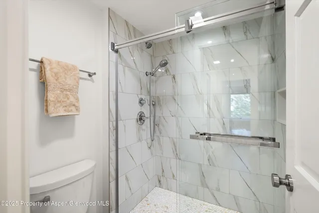 a bathroom with a shower and a toilet