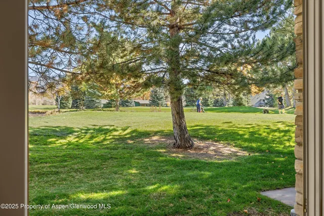 a view of a yard with a tree