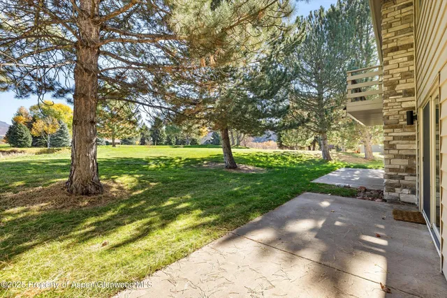 a view of yard with tree s