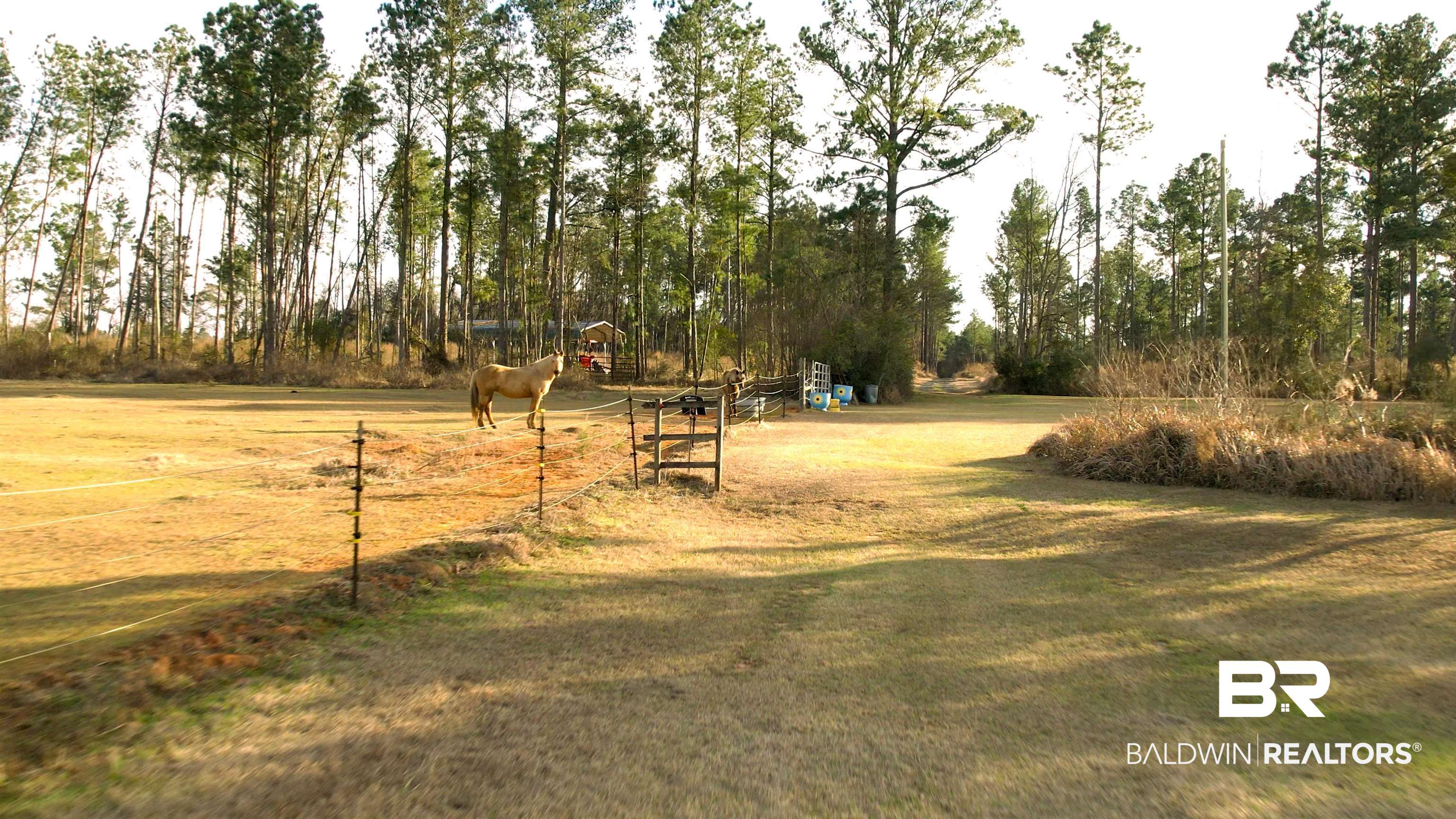 19025 -A Greek Cemetery Road Robertsdale, AL 36567 - Photo 38 of 50