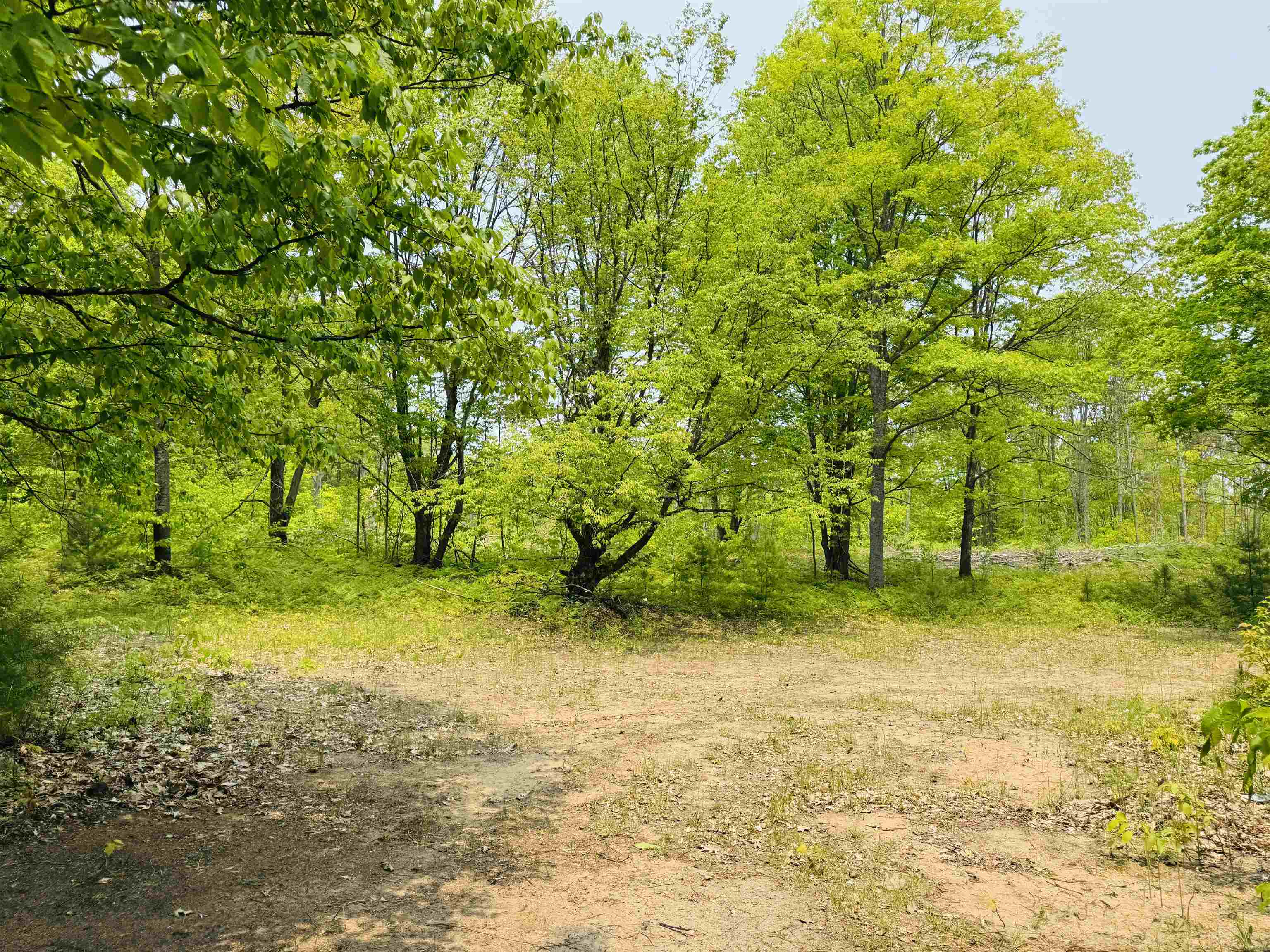 11711 22 3/4 Road Manton, MI 49663 - Photo 7 of 42