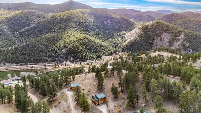 a view of a lake in middle of forest