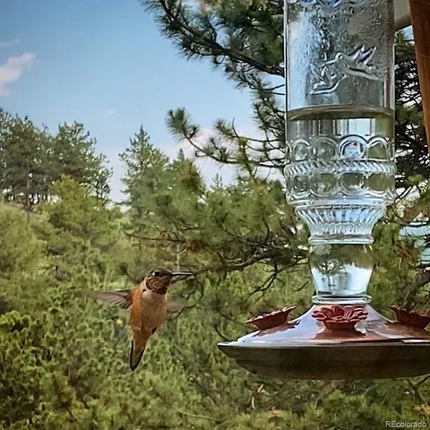 a view of swimming pool with a yard and plants