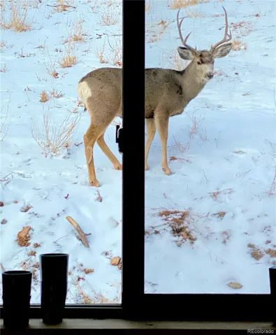 a view of sitting area in middle of outdoor space
