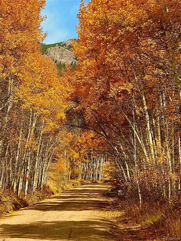 a view of park space