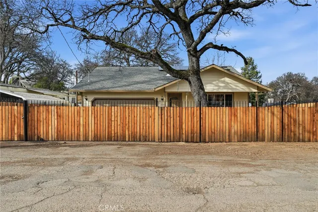 a view of a house with a large tree and a yard