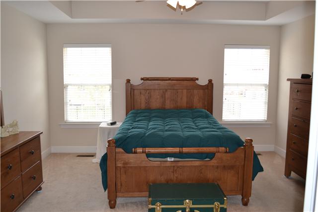 808 Renaissance Avenue Murfreesboro, TN 37129 - Photo 9 of 16 master bedroom downstairs