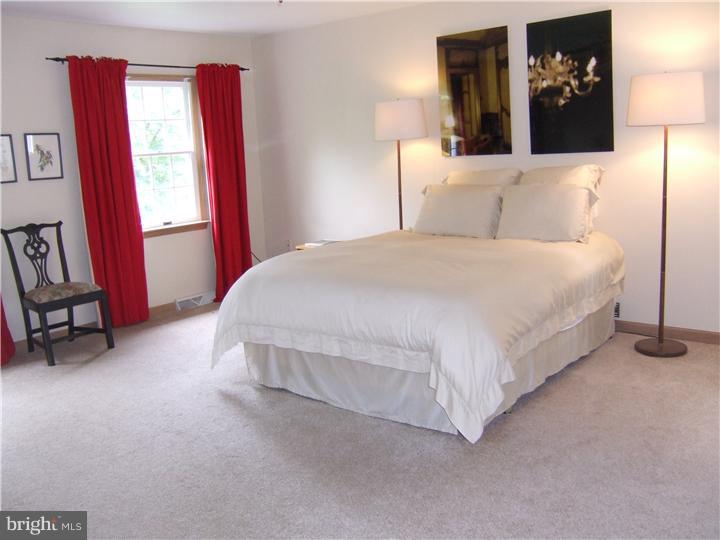 1119 Rapps Dam Road Phoenixville, PA 19460 - Photo 12 of 20 Bedroom - Main