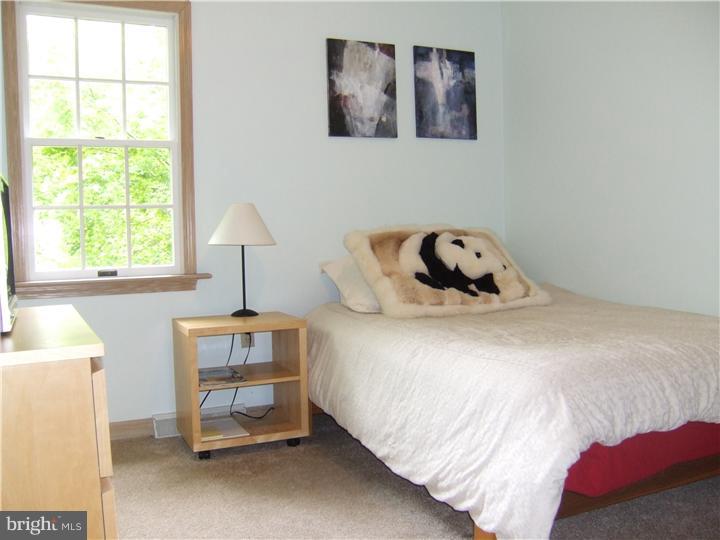 1119 Rapps Dam Road Phoenixville, PA 19460 - Photo 13 of 20 Bedroom 2