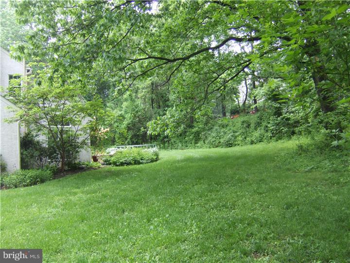 1119 Rapps Dam Road Phoenixville, PA 19460 - Photo 17 of 20 Back Yard