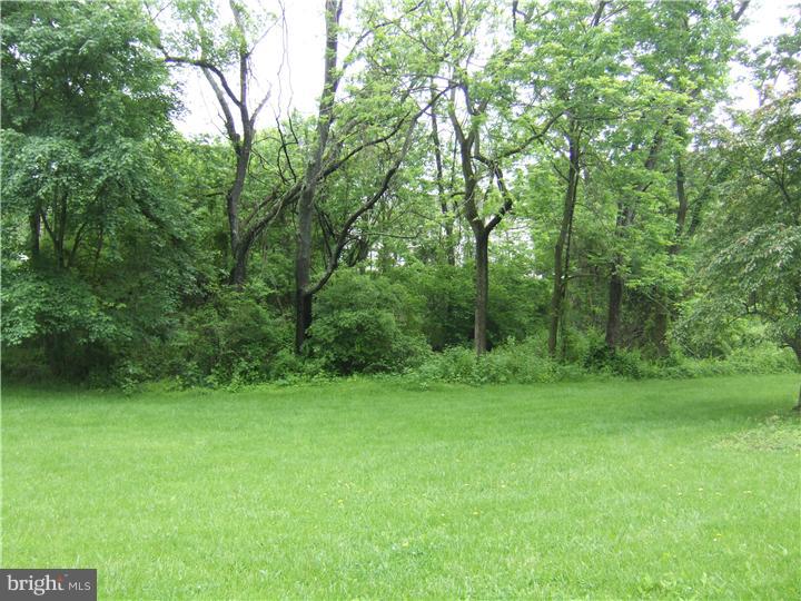 1119 Rapps Dam Road Phoenixville, PA 19460 - Photo 18 of 20 Front Yard