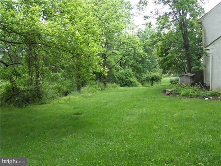 1119 Rapps Dam Road Phoenixville, PA 19460 - Photo 19 of 20 Side Yard