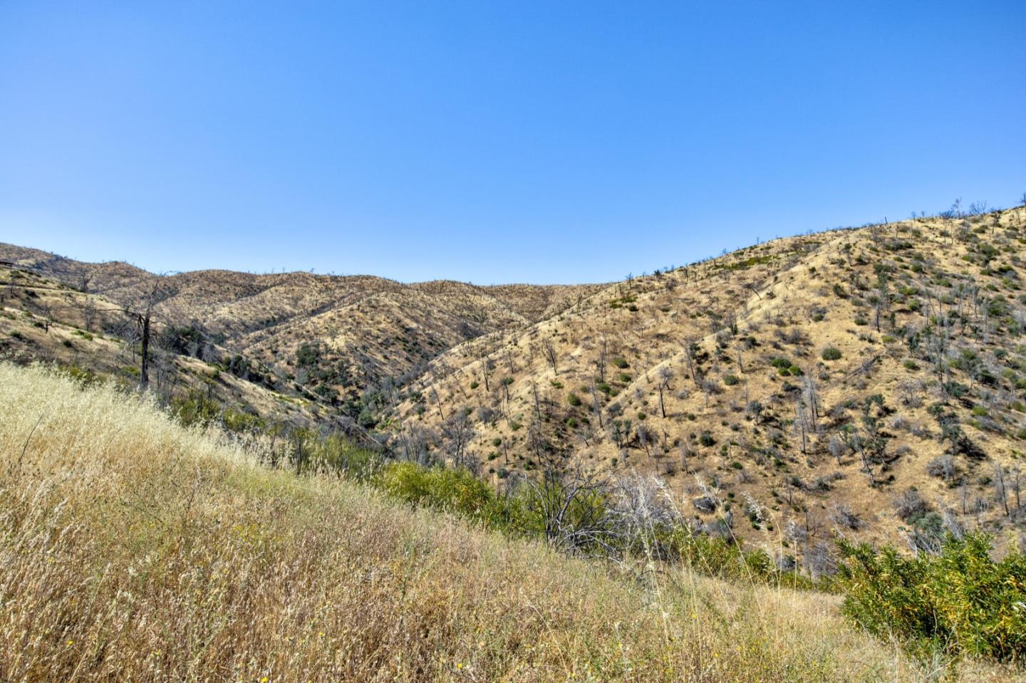 14600 Del Puerto Canyon Road Patterson, CA 95363 - Photo 12 of 65