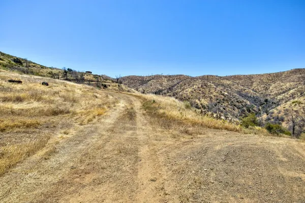 a view of a dry yard