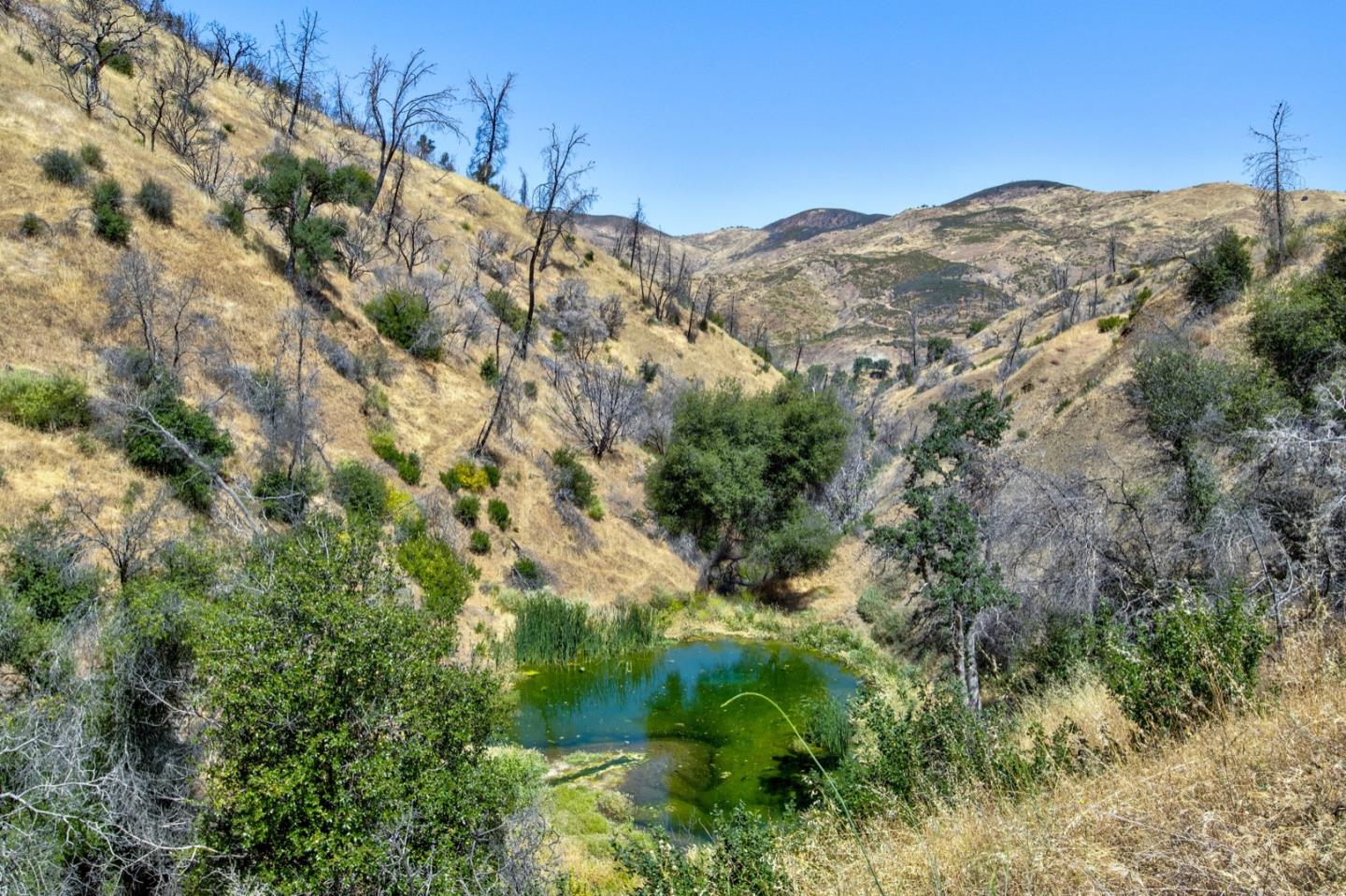 14600 Del Puerto Canyon Road Patterson, CA 95363 - Photo 25 of 65