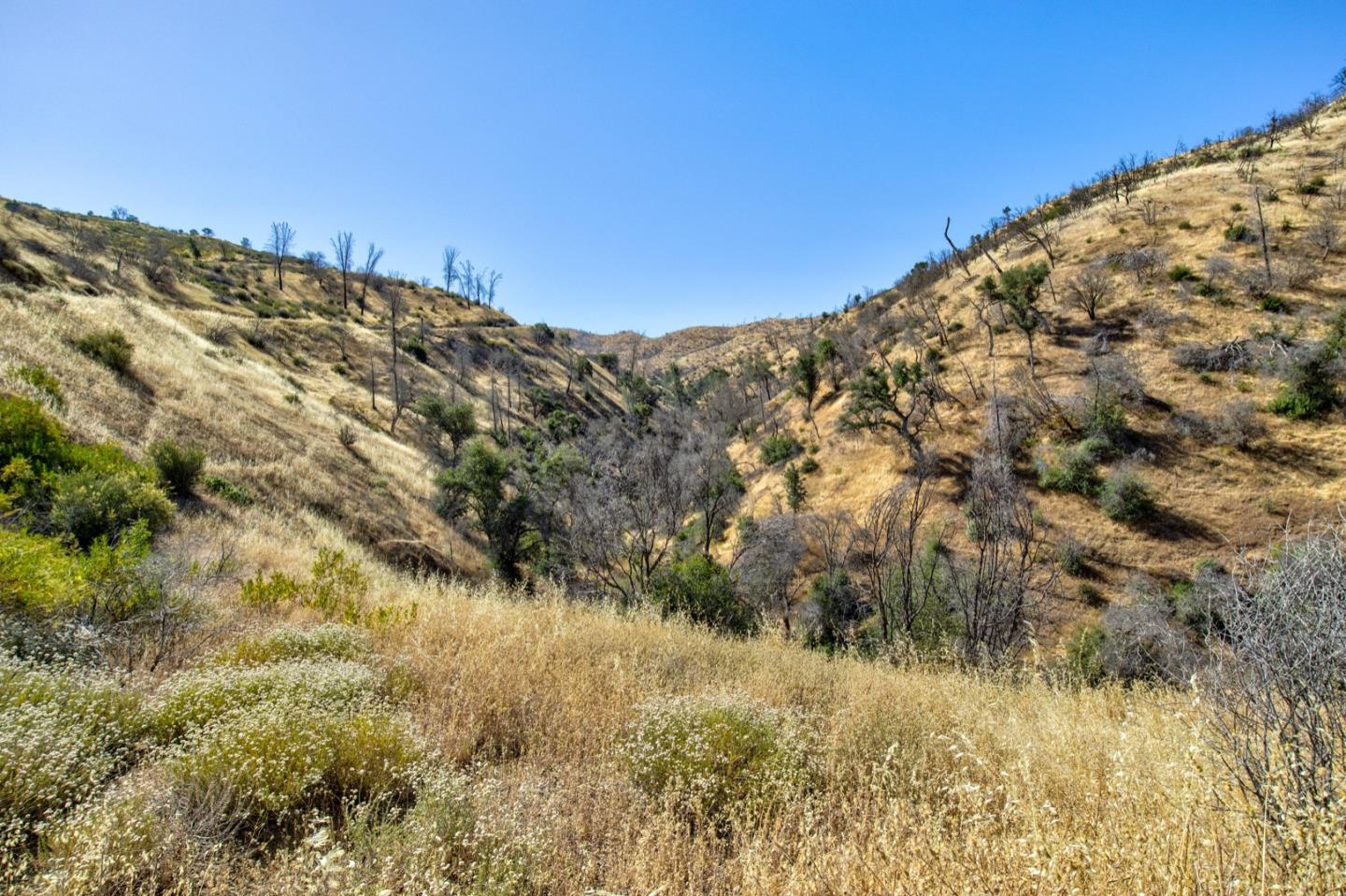 14600 Del Puerto Canyon Road Patterson, CA 95363 - Photo 3 of 65