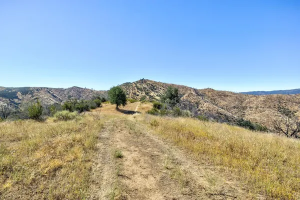 a view of a dry yard with mountains in the background