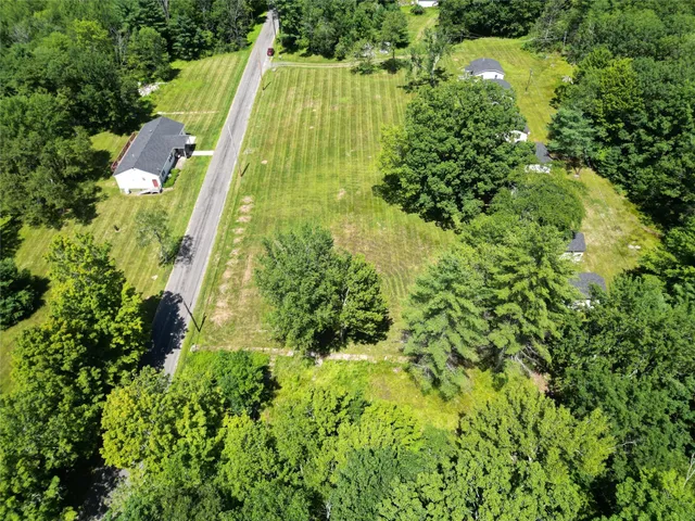 a view of banana tree