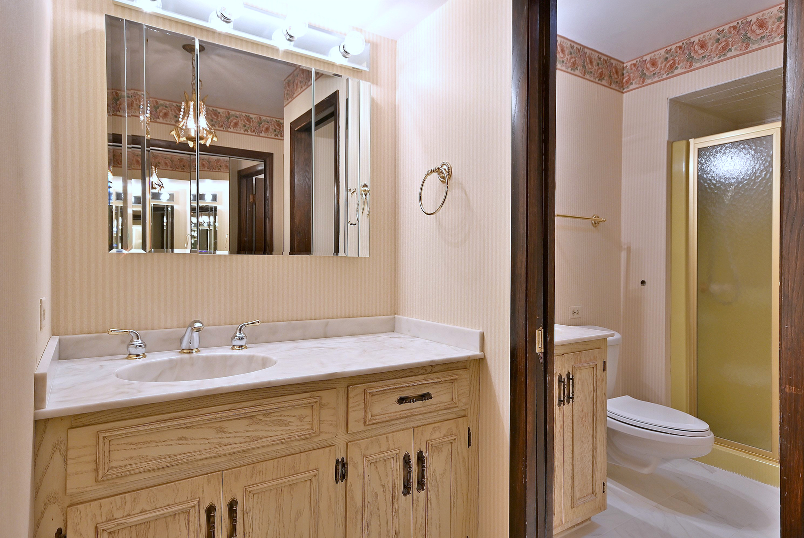 7976 Clarendon Hills Road Willowbrook, IL 60527 - Photo 24 of 41 a bathroom with a sink a toilet a mirror and shower