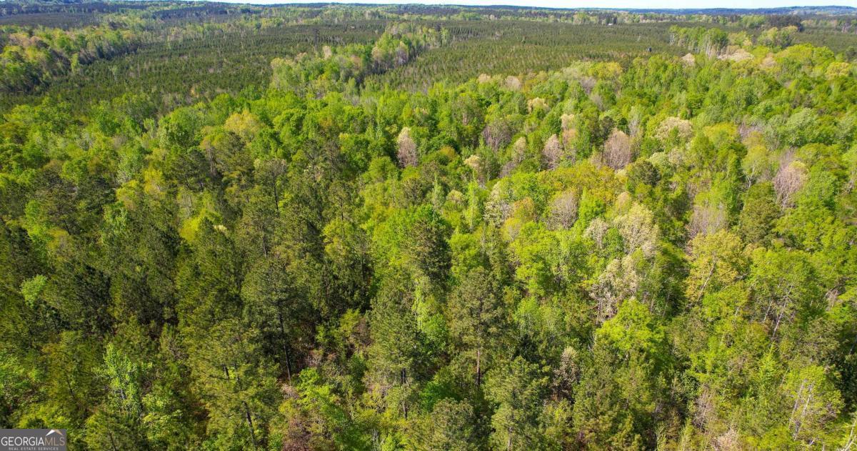 Lot 11 Old Copelan Road Eatonton, GA 31024 - Photo 4 of 6